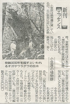 記事画像