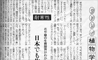 記事画像